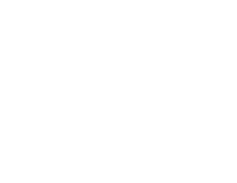 Logo AAAVYT - Asociación Argentina de Agencias de Viajes y Turismo Logo AAAVYT - Asociación Argentina de Agencias de Viajes y Turismo